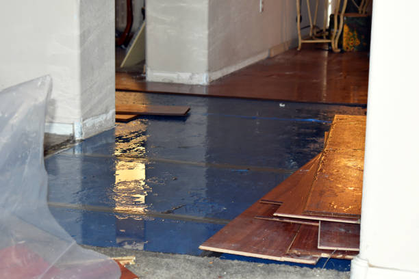 Professional Basement Flooding technician working in Conroe, TX